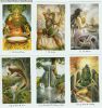 The Wildwood Tarot Kit