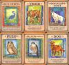 Messages from Your Animal Spirit Guides Cards