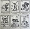 I Gatti Originali Tarot (Cats Tarot) (mini)