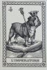 I Cani del Mondo Tarot (Dogs Tarot) (mini)