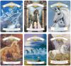 The Magic Of Unicorns Oracle Cards : A 44-Card Deck And Guidebook