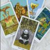 Into The Wild Tarot & Oracle Deck