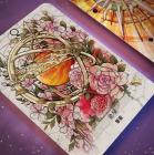 占星神諭 決策指引卡（56張高能量藝術卡牌＋中文詳解專書＋璀璨星塵絲絨卡牌保護袋） (starcodes Astro Oracle: A 56-card Deck And Guidebook)