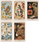 森林守護者神諭卡：52張結合動物與植物的牌卡，為你清楚指引人生方向 (Woodland Wardens: A 52-Card Oracle Deck & Guidebook)