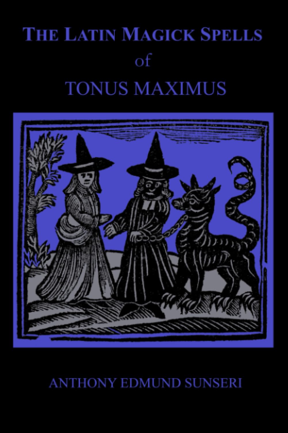 The Latin Magick Spells Of Tonus Maximus: Latin For Witches And Wizards