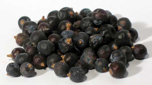 Juniper Berries Whole