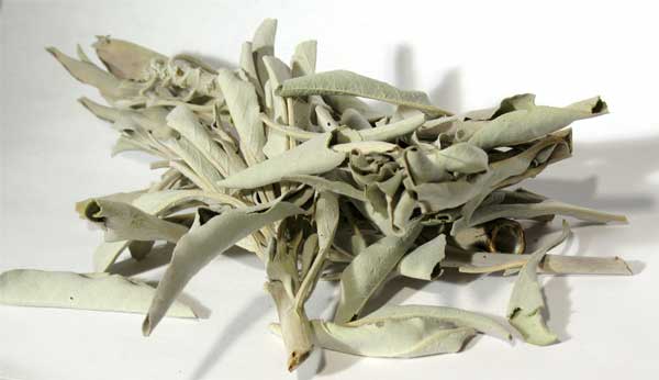 White Sage