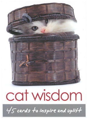 Cat Wisdom Cards