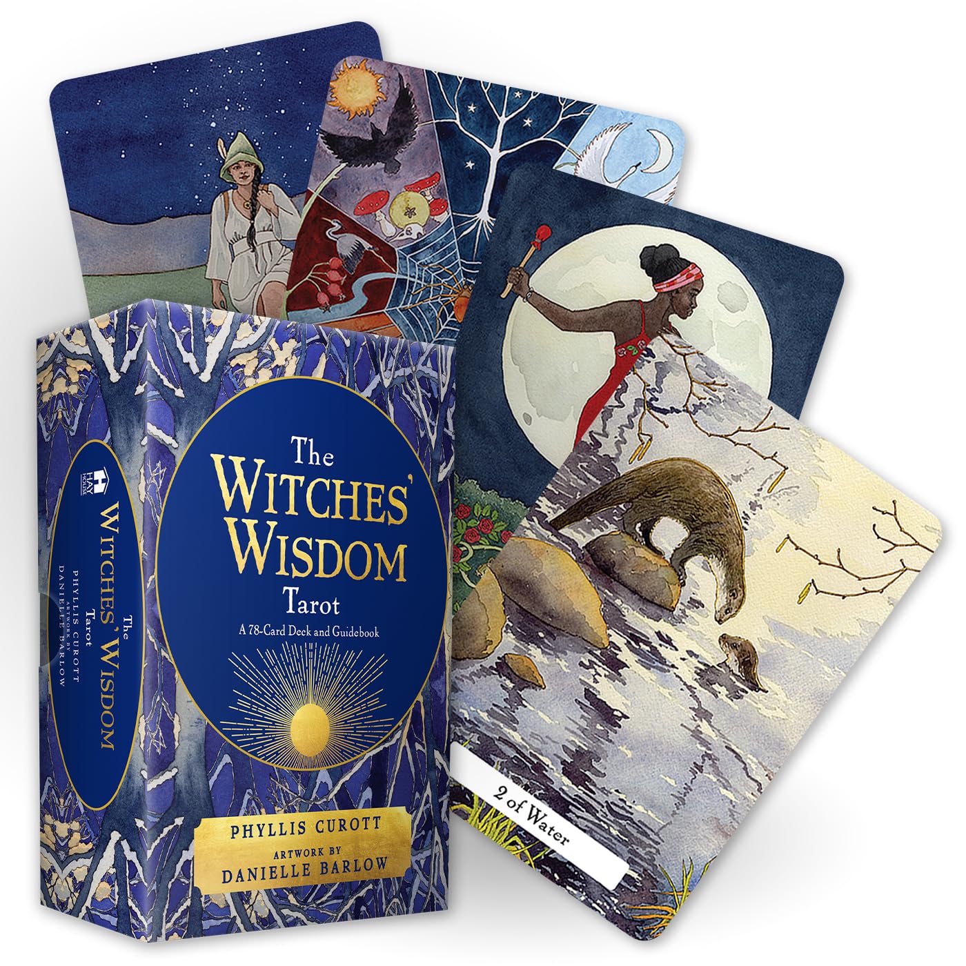 The Witches' Wisdom Tarot