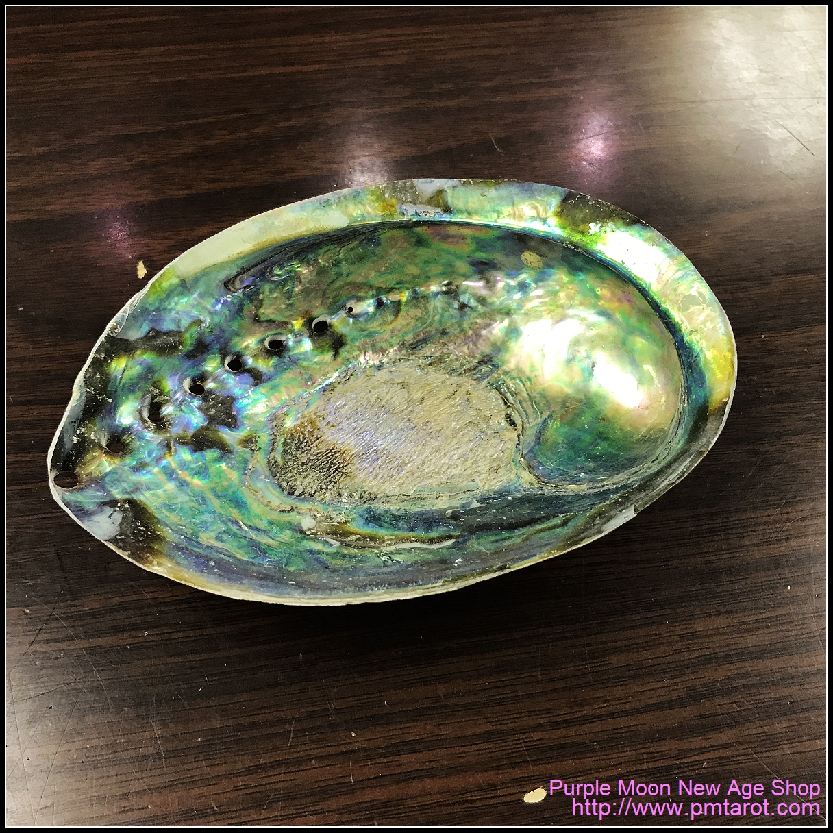 Abalone Shell Burner