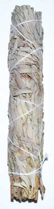 White Sage Smudge Stick 9